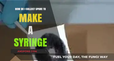 Mastering Spore Collection: A Step-by-Step Guide to Making Syringes