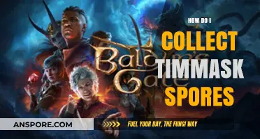 Mastering Timmask Spore Collection: Essential Tips and Techniques Revealed