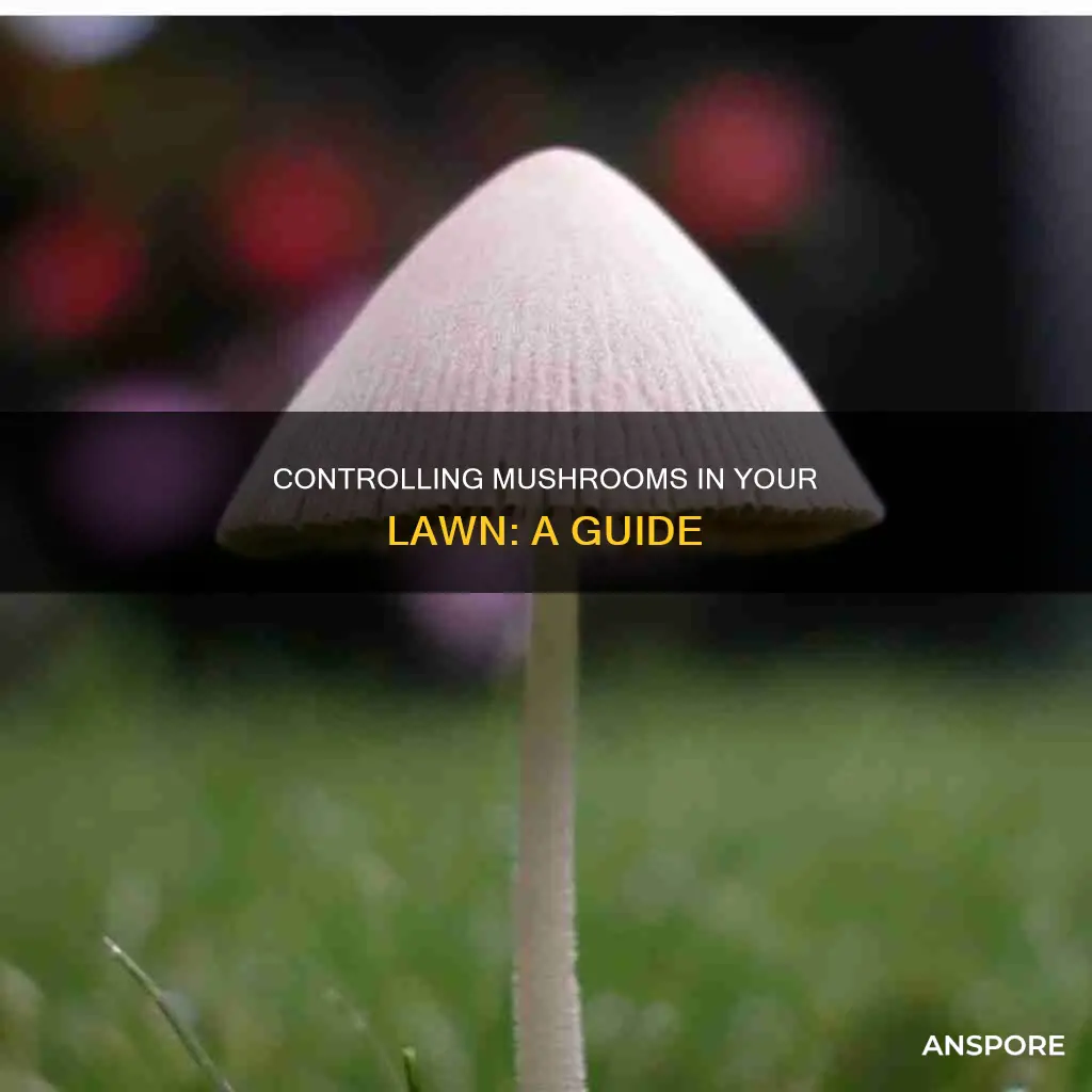 how do i control mushrooms in my lawn