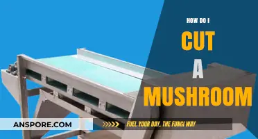 The Best Way to Slice Mushrooms