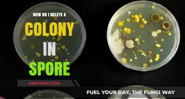 How to Delete a Colony in Spore: Step-by-Step Guide