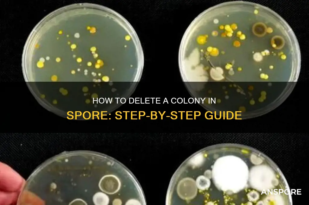 how do i delete a colony in spore