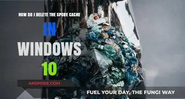 Clear Spore Cache in Windows 10: Step-by-Step Guide