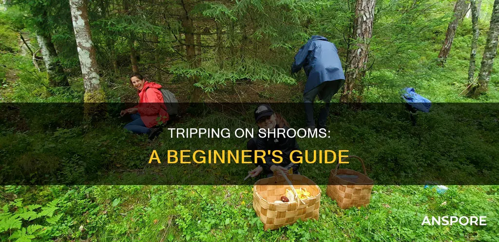 how do i do mushrooms