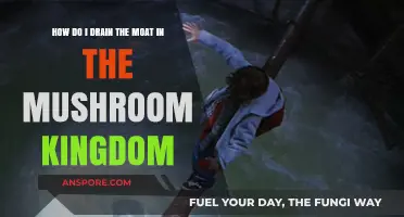Draining the Mushroom Kingdom Moat: A Step-by-Step Guide