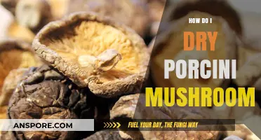 Drying Porcini Mushrooms: Techniques and Best Practices