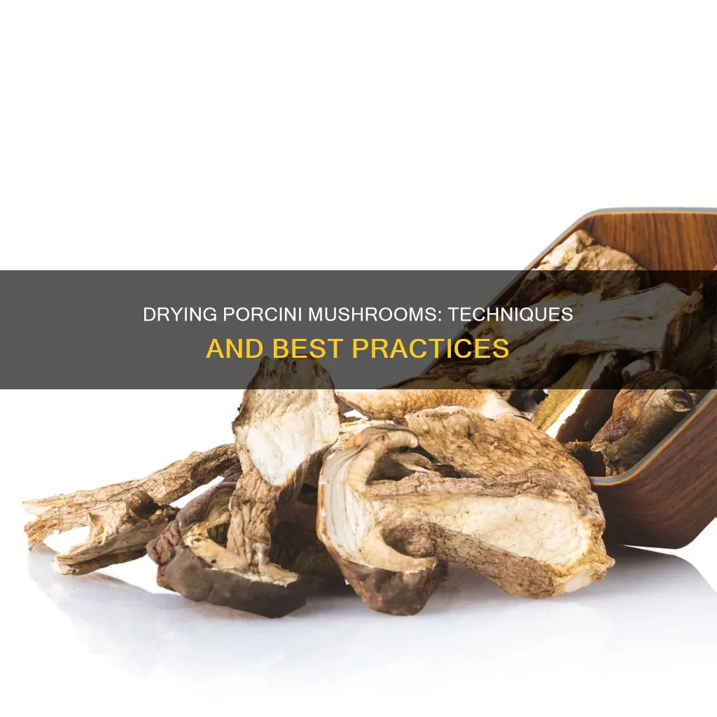 how do i dry porcini mushrooms