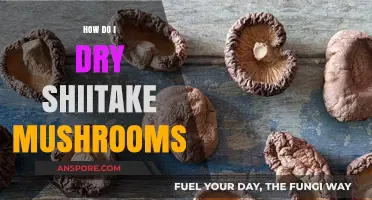 Drying Shiitake Mushrooms: Techniques and Best Practices
