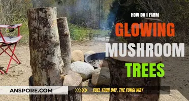 Glowing Mushroom Trees: Secrets to Successful Farming