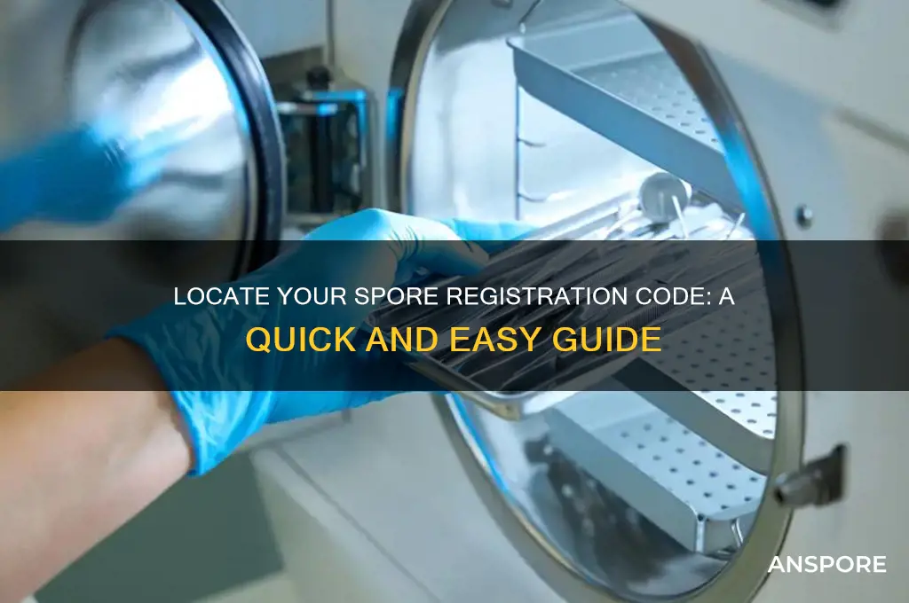 how do i find my spore registration code