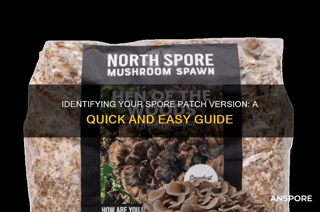 how do i found out what spore patch i have
