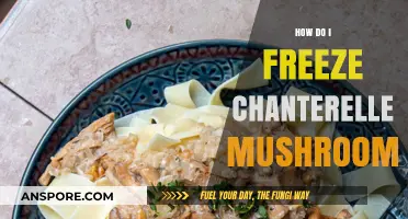 Freezing Chanterelles: A Step-by-Step Guide to Preserve These Mushrooms