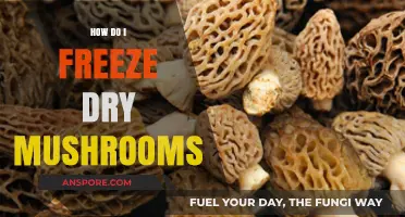 Freezing Mushrooms: A Step-by-Step Guide to Freeze Drying