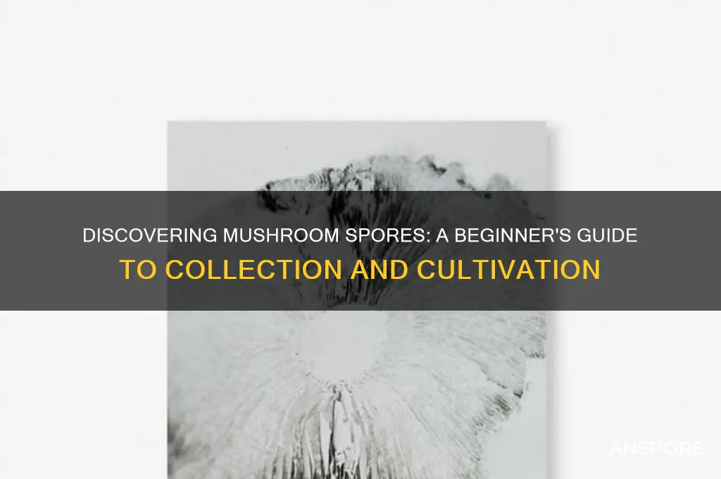 how do i get mushroom spores