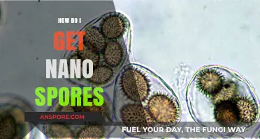Discovering Nano Spores: A Comprehensive Guide to Sourcing and Cultivation