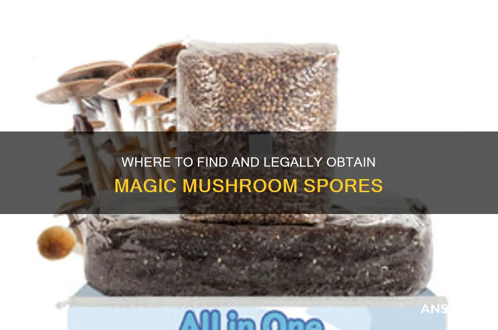 how do i get shroom spores