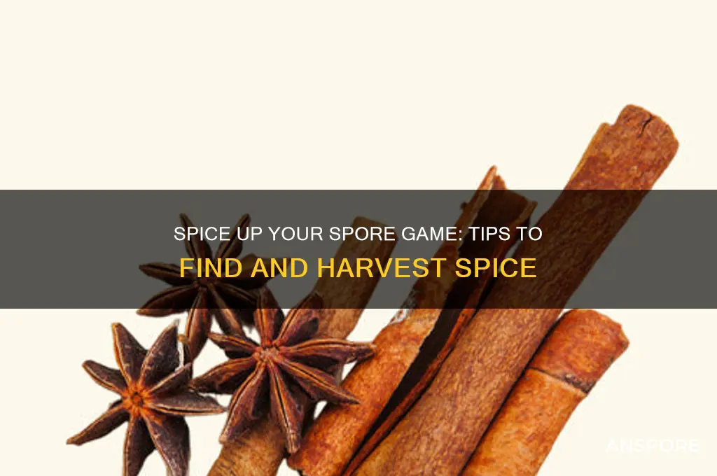 how do i get spice in spore