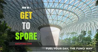 Your Ultimate Guide to Reaching Singapore: Travel Tips and Routes