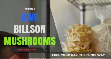 Billson's Mushroom Magic: A Guide to Giving Billson's Mushrooms