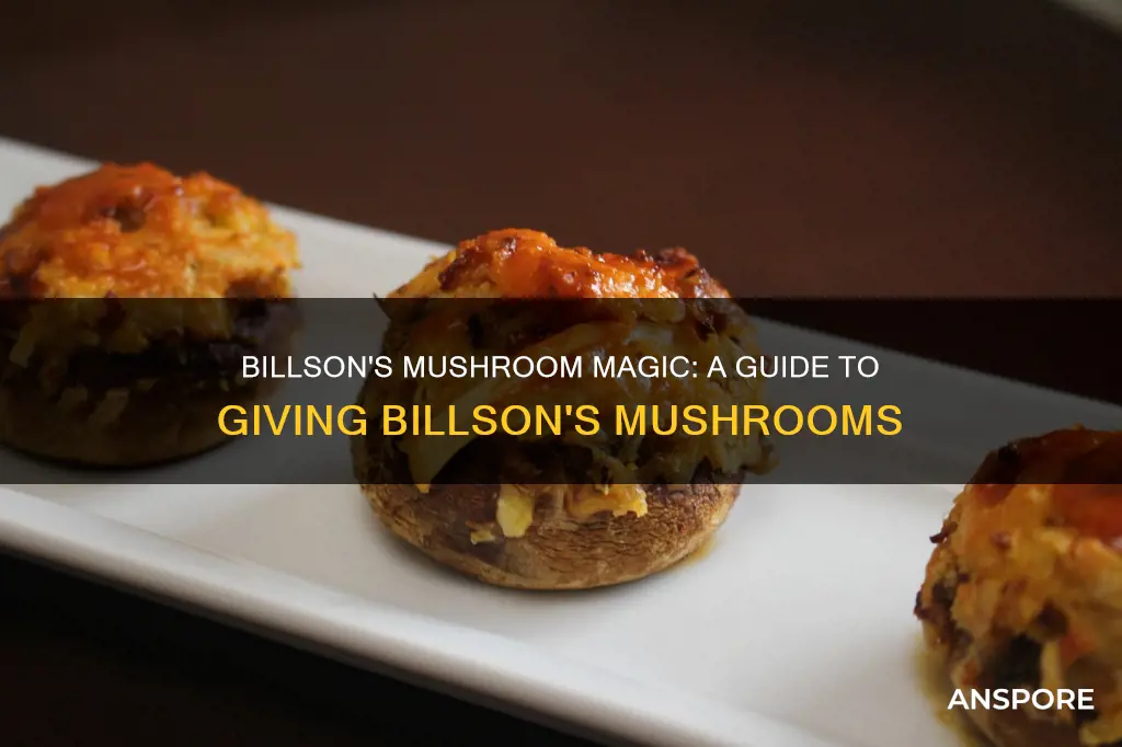 how do i give billson mushrooms