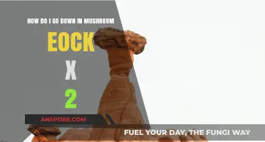 Mushroom Rock X 2: Descending Safely and Efficiently