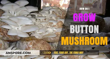 Mastering Button Mushroom Cultivation: Simple Steps for a Bountiful Harvest