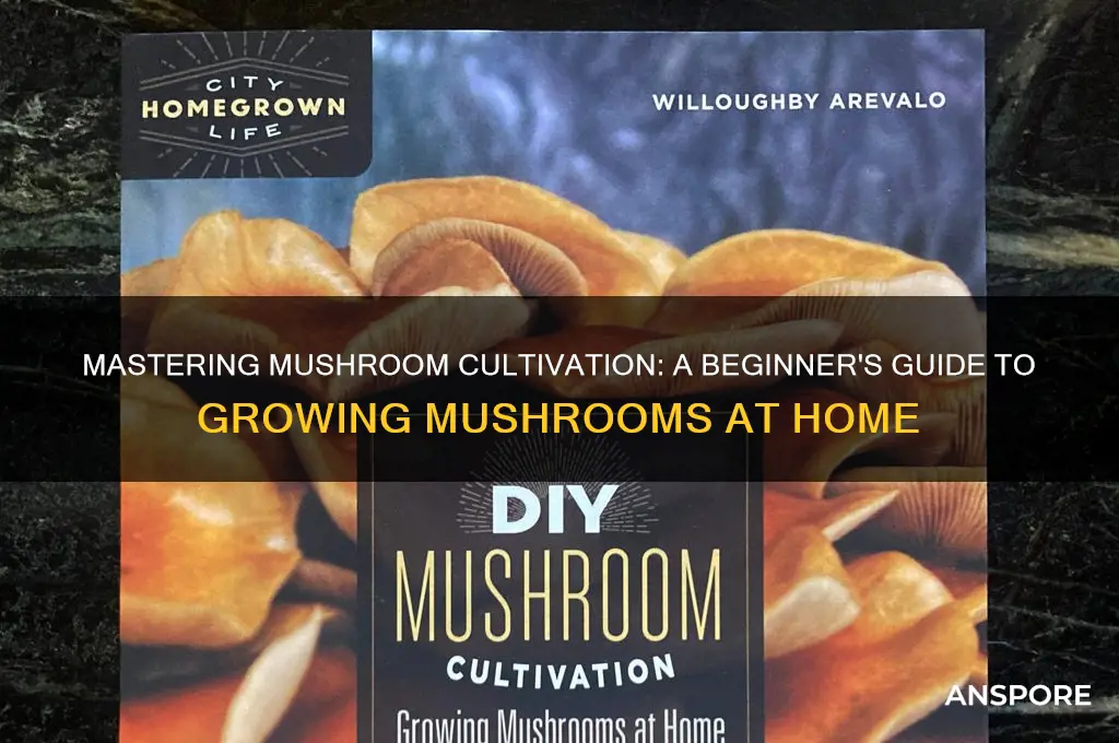 how do i grow mushrooms at home