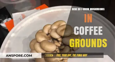 Grow Mushrooms Easily: Using Coffee Grounds for a Bountiful Harvest