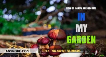Growing Mushrooms in Your Garden: A Beginner's Step-by-Step Guide