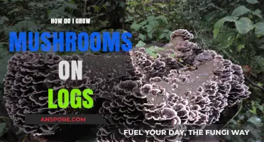Master Log Cultivation: A Beginner's Guide to Growing Mushrooms
