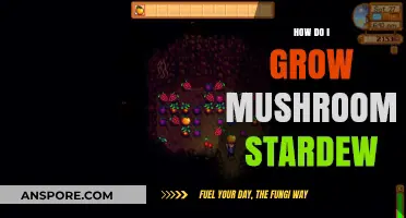 Mastering Mushroom Cultivation in Stardew Valley: A Beginner's Guide