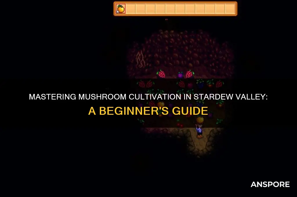 how do i grow mushrooms stardew