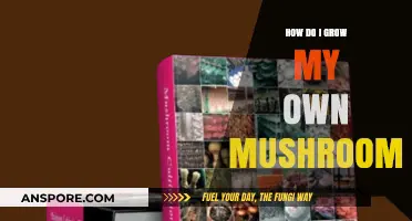 Master Mushroom Cultivation: A Beginner’s Guide to Growing Your Own