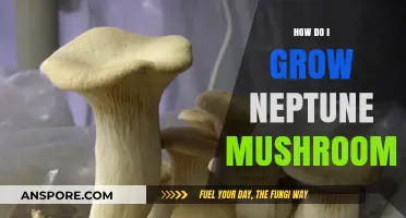 Cultivating Neptune Mushrooms: A Comprehensive Guide to Growing Success