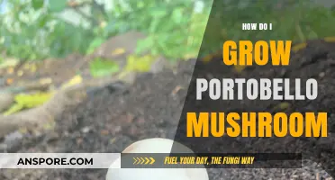 Mastering Portobello Mushroom Cultivation: A Step-by-Step Growing Guide
