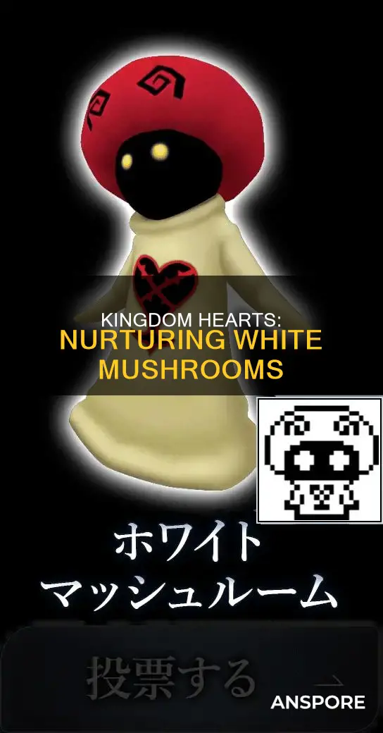 how do i help the white mushrooms in kingdom hearts