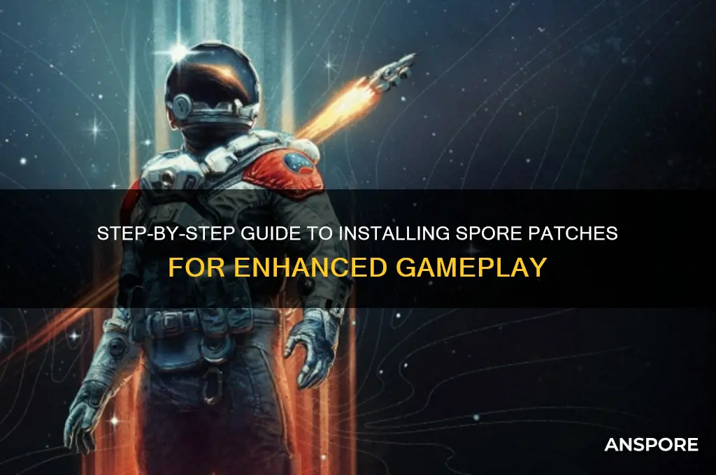 how do i install spore patches