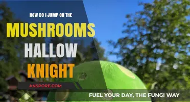 Jumping on Mushrooms: Hallow Knight's Guide