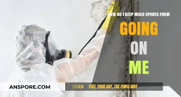 Prevent Mold Spores from Affecting You: Effective Strategies and Tips
