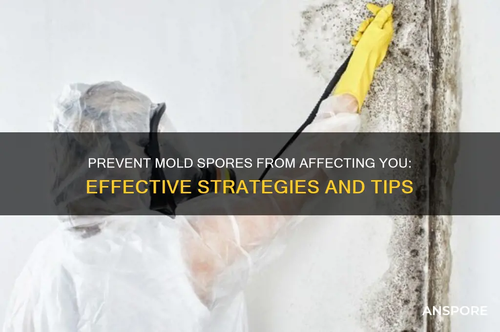 how do i keep mold spores from going on me