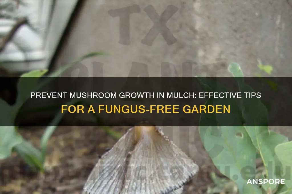 how do i keep mushrooms from growing in my mulch