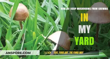 Prevent Mushroom Growth: Effective Tips for a Fungus-Free Yard