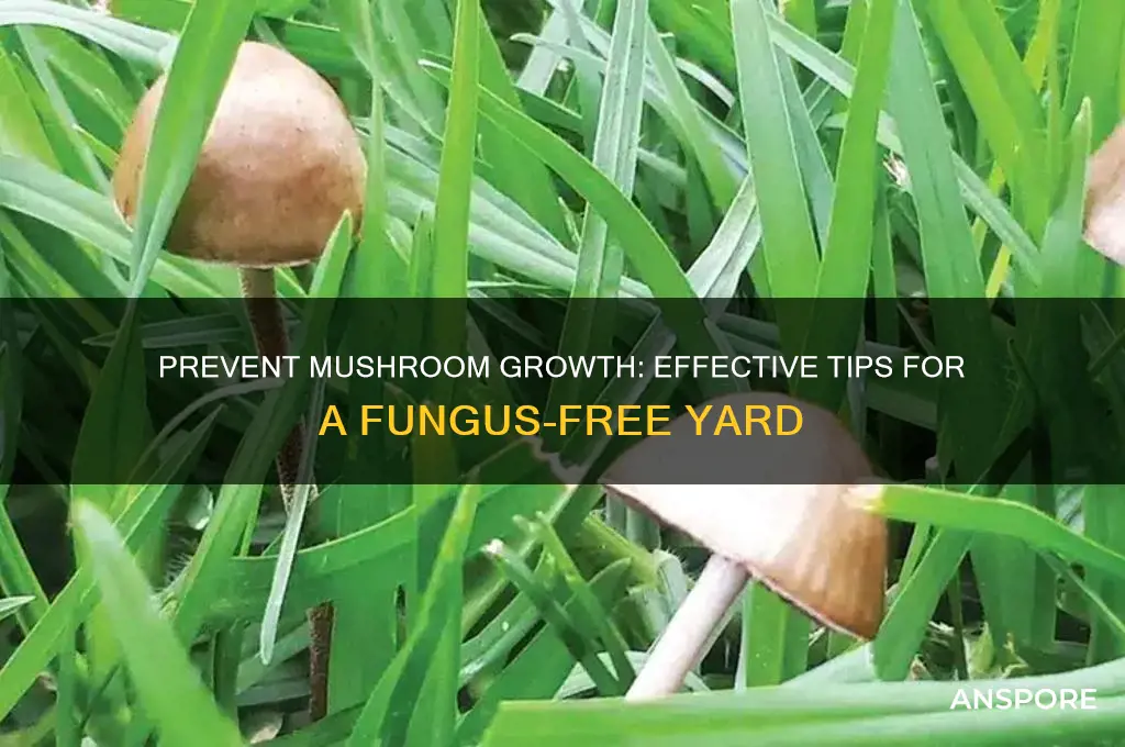 how do i keep mushrooms from growing in my yard