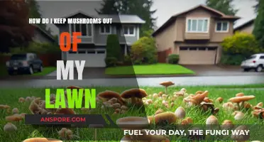 Eradicating Mushrooms: Keeping Your Lawn Fungi-Free