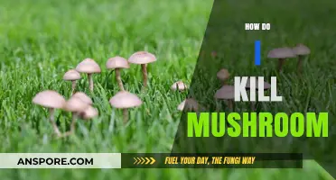 Destroying Mushrooms: A Comprehensive Guide to Eradication