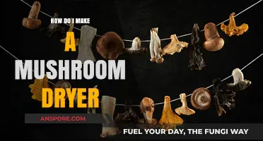 DIY Mushroom Dryer: Simple Steps to Preserve Your Harvest