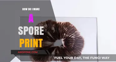 Mastering Spore Prints: A Simple Guide to Capturing Mushroom Spores