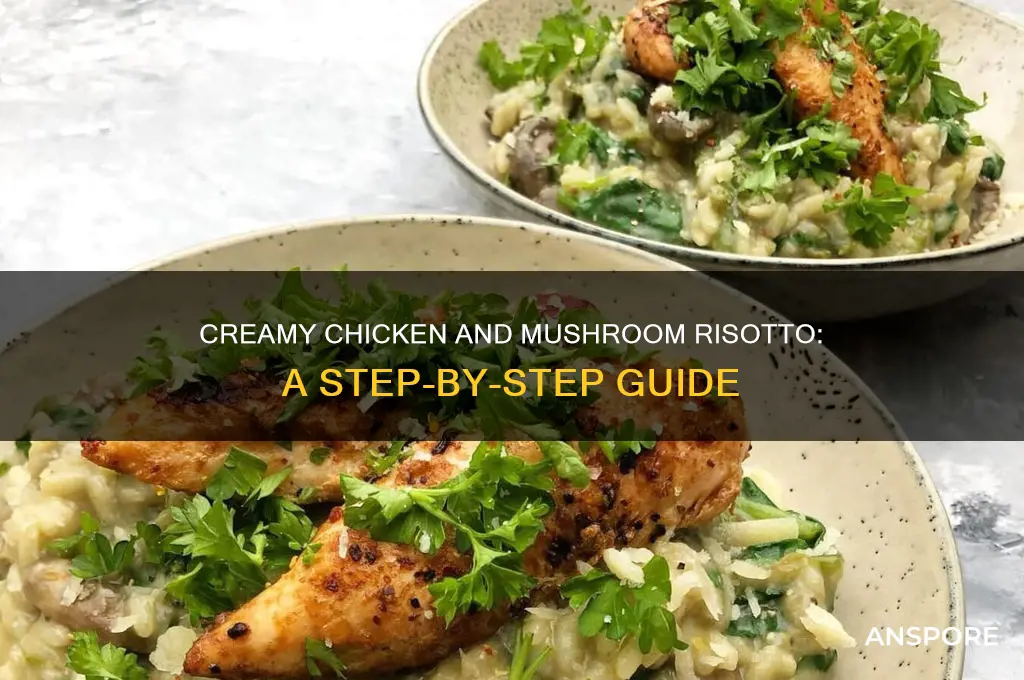 how do i make chicken and mushroom risotto