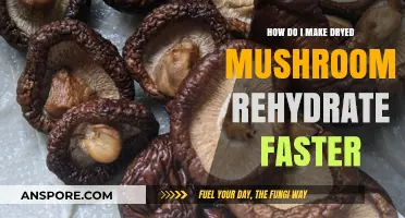 Quickly Revive Dried Mushrooms: Faster Rehydration Tips and Tricks