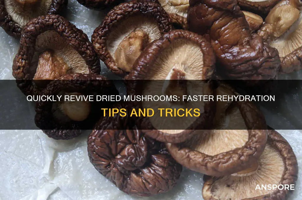 how do i make dryed mushrooms rehydrate faster